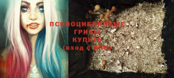 PSILOCYBIN Пролетарск