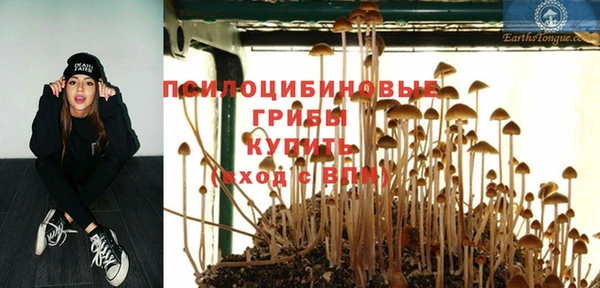 МДПВ Алзамай
