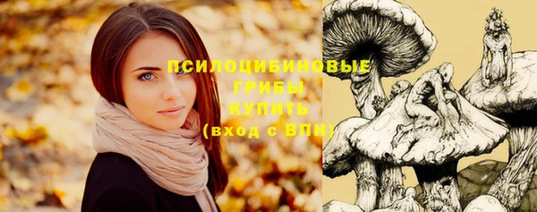 соль курить ск Алексеевка
