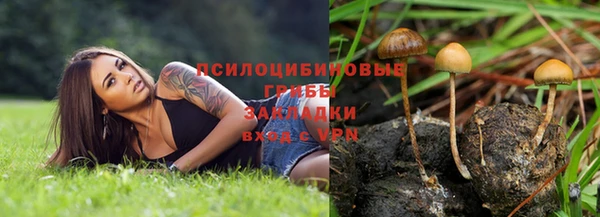 МДПВ Алзамай