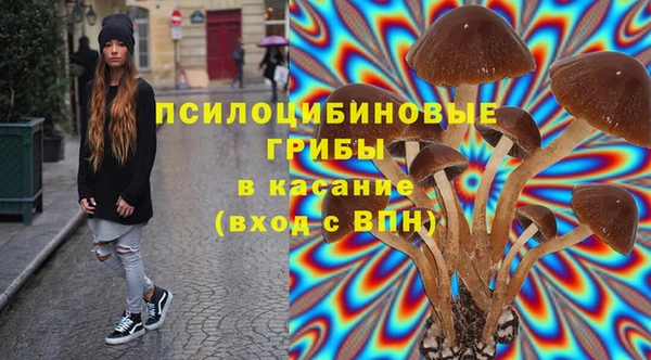 МДПВ Алзамай