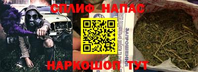 гидра Свободный