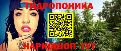 гидра Свободный