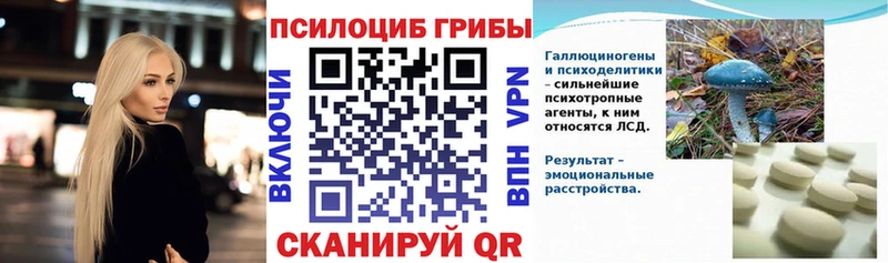цены Слободской сайты даркнета формула Псилоцибиновые грибы Psilocybe
